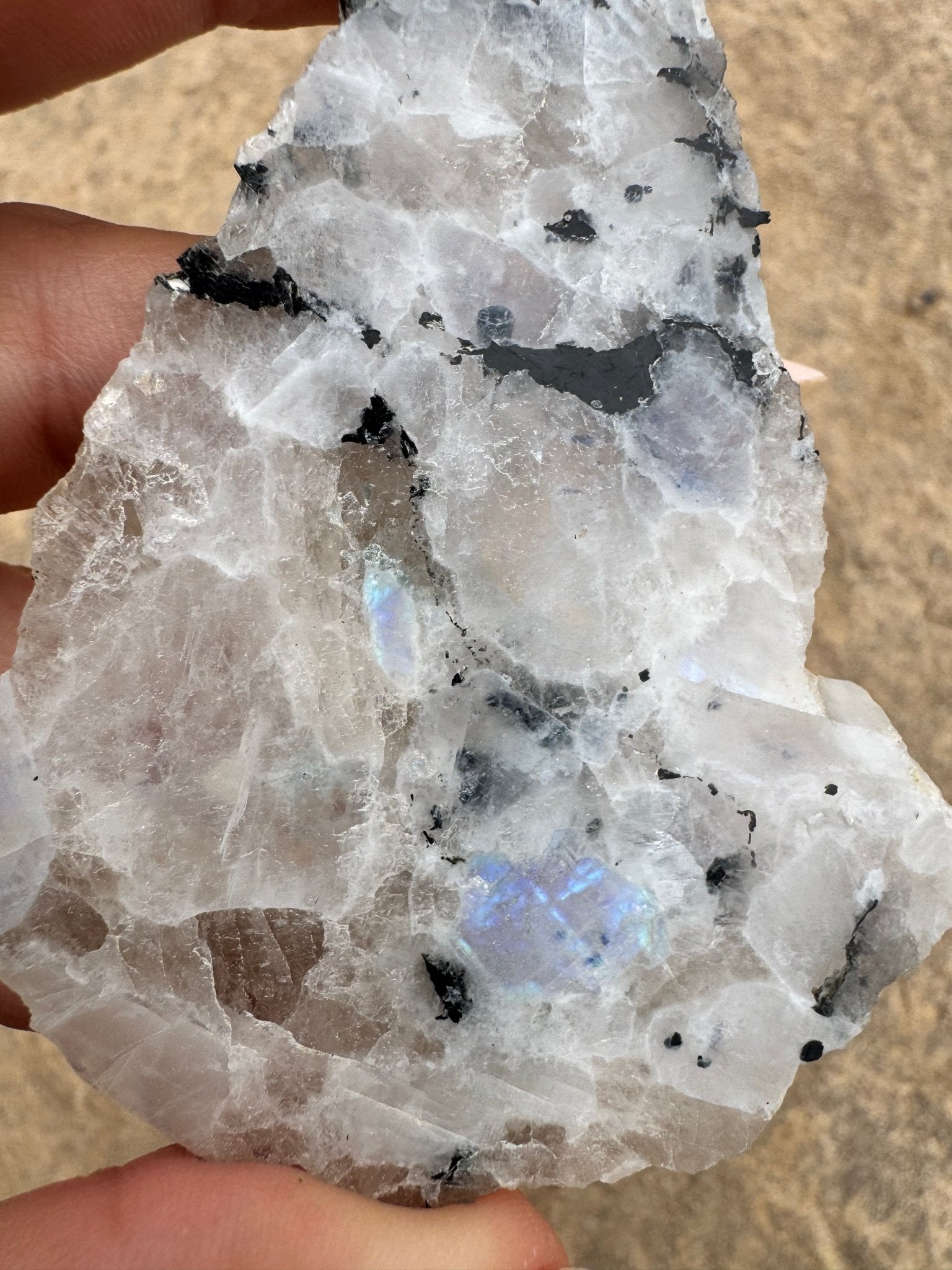 Rainbow Moonstone Polished Slab 46g - Purple Door Alchemy
