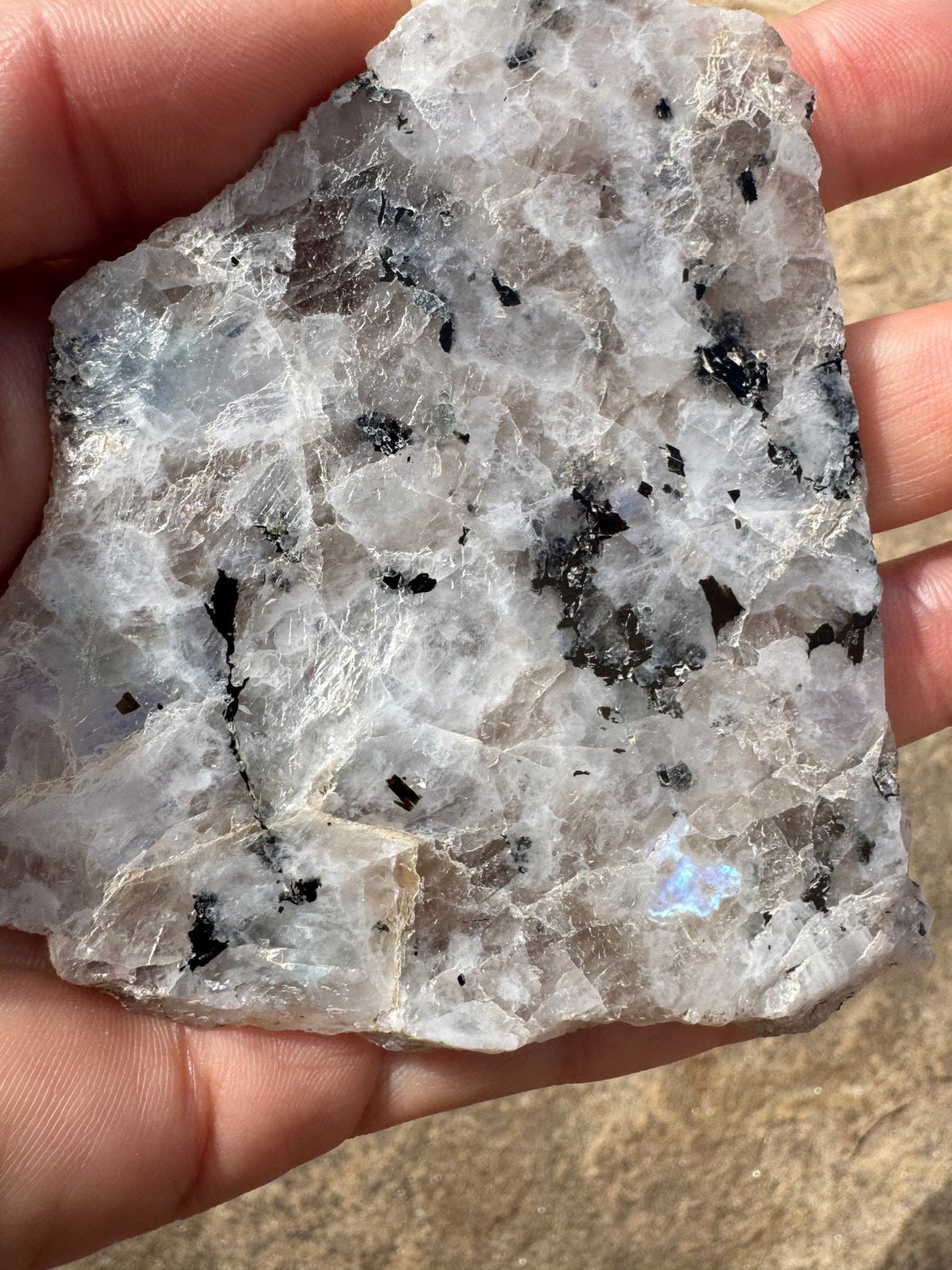 Rainbow Moonstone Polished Slab 59g - Purple Door Alchemy