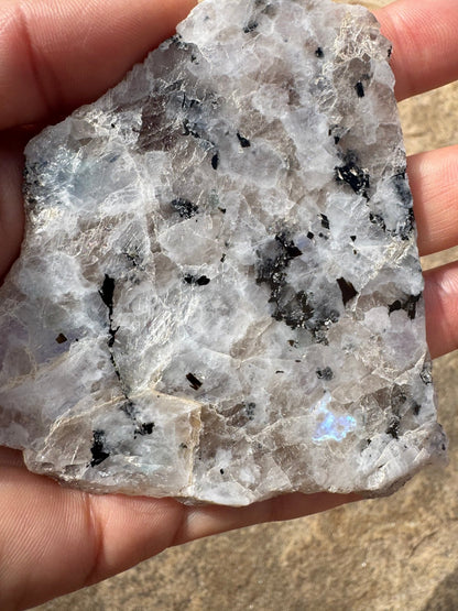 Rainbow Moonstone Polished Slab 59g - Purple Door Alchemy