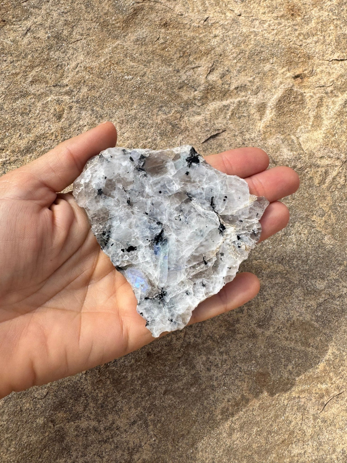 Rainbow Moonstone Polished Slab 59g - Purple Door Alchemy