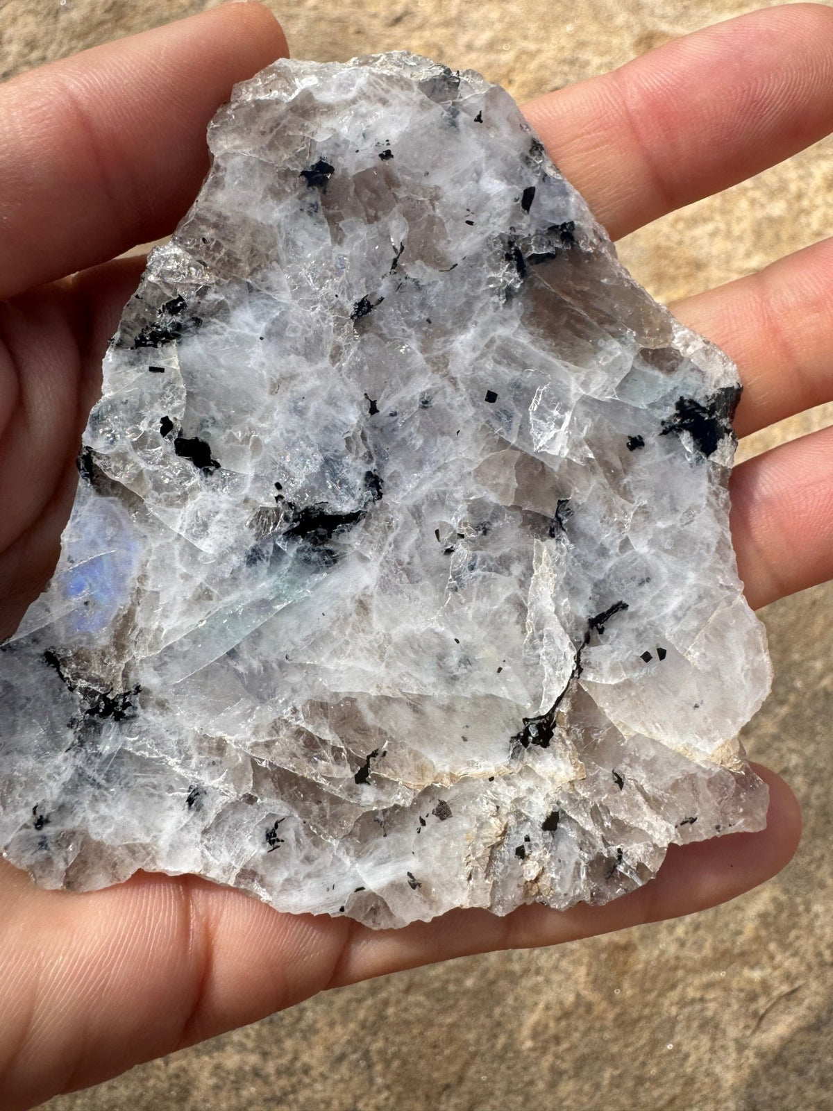 Rainbow Moonstone Polished Slab 59g - Purple Door Alchemy