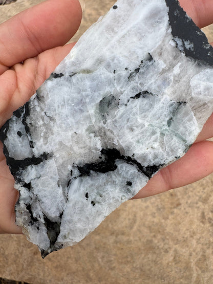 Rainbow Moonstone Polished Slab 80g - Purple Door Alchemy