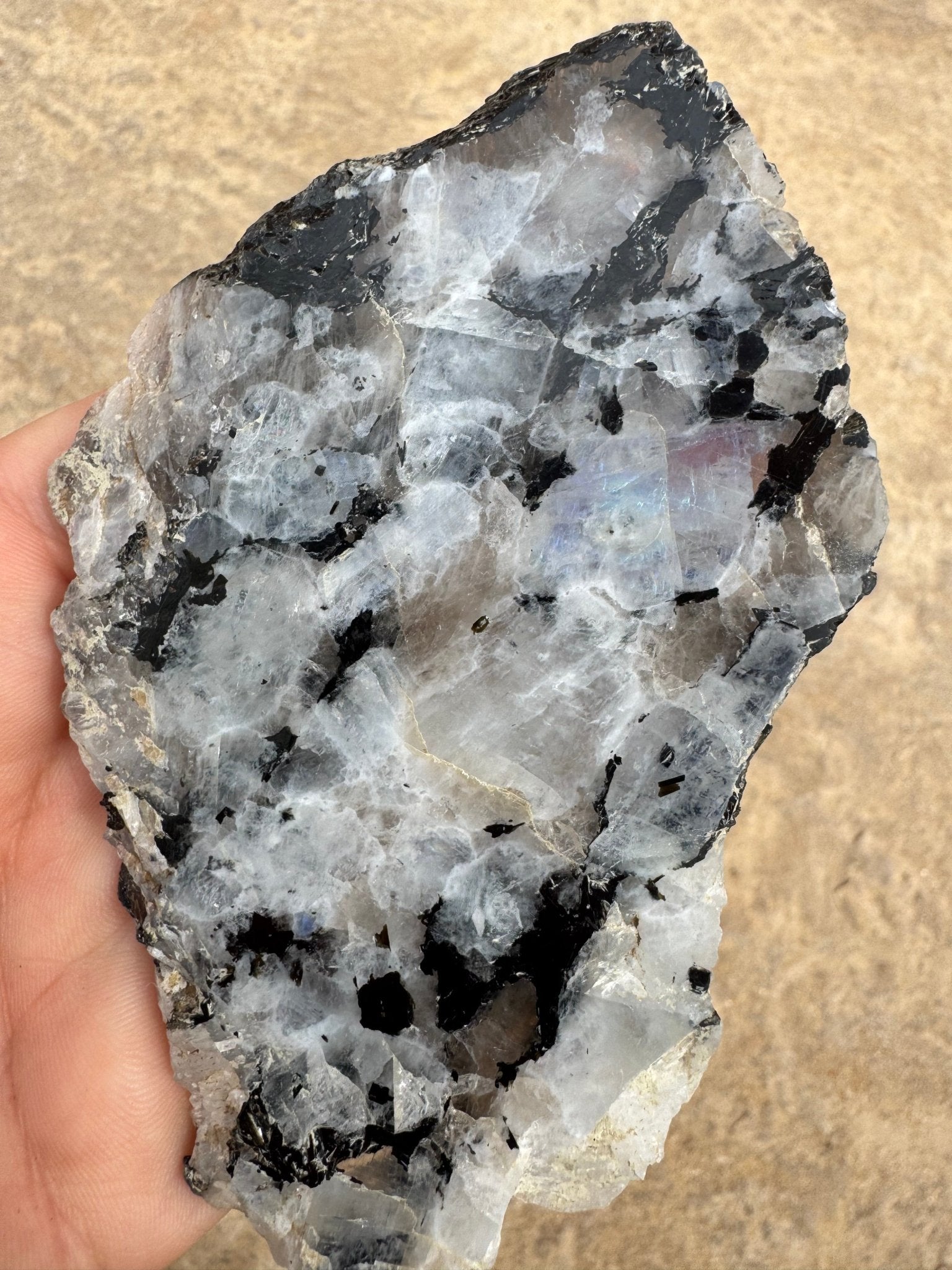 Rainbow Moonstone Polished Slab 86g - Purple Door Alchemy