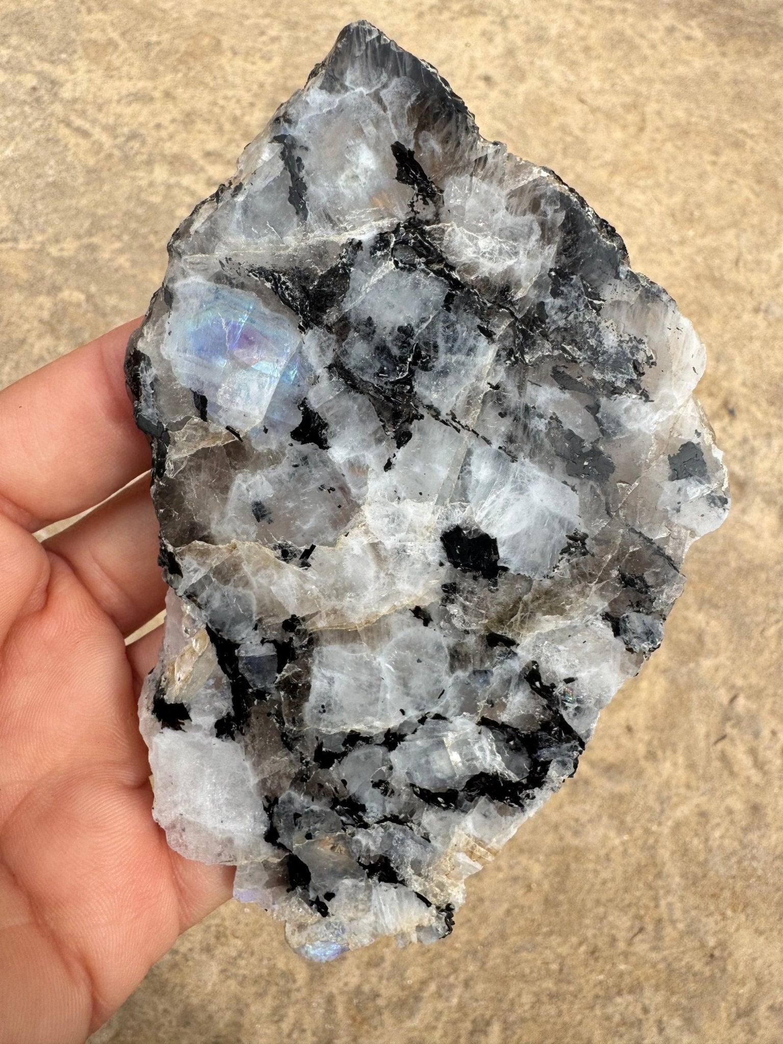 Rainbow Moonstone Polished Slab 86g - Purple Door Alchemy