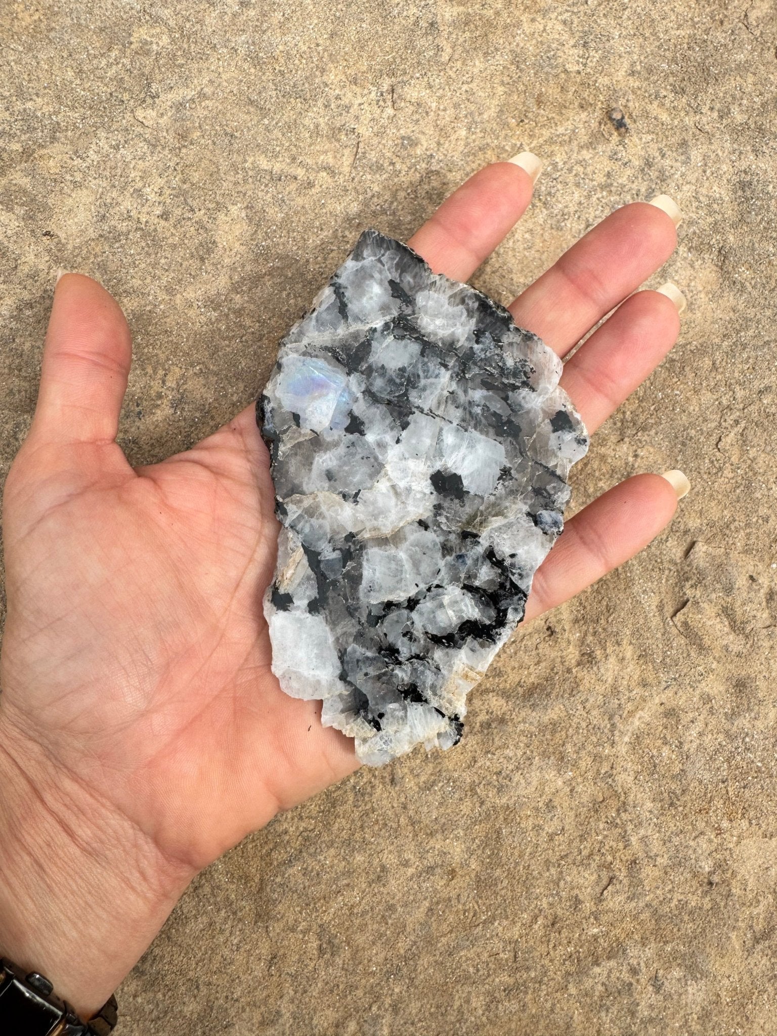 Rainbow Moonstone Polished Slab 86g - Purple Door Alchemy