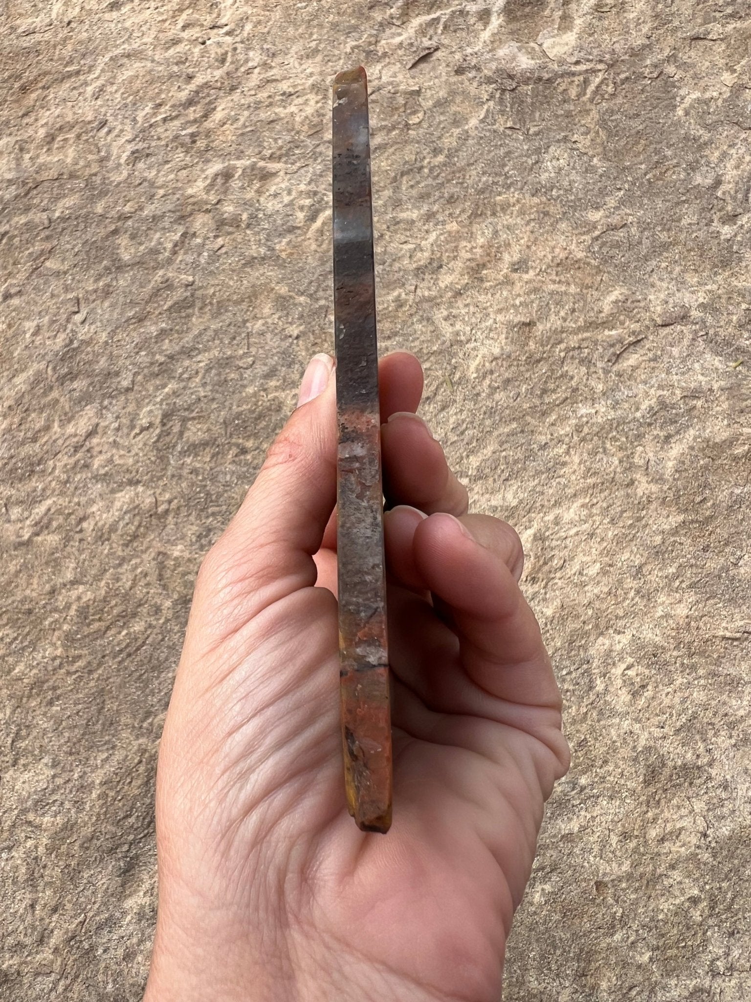 Rainbow Petrified Wood Slab 120g - Purple Door Alchemy