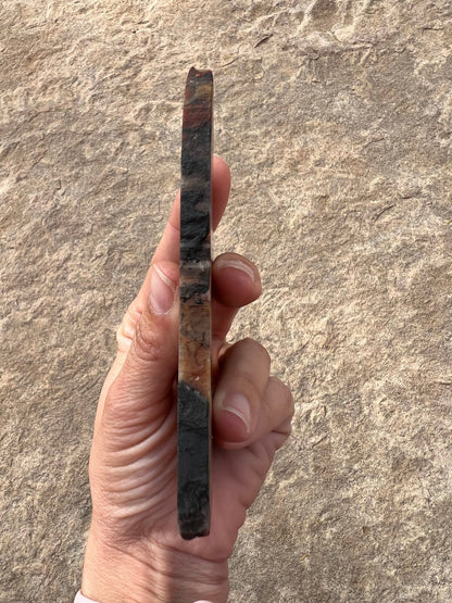 Rainbow Petrified Wood Slab 120g - Purple Door Alchemy