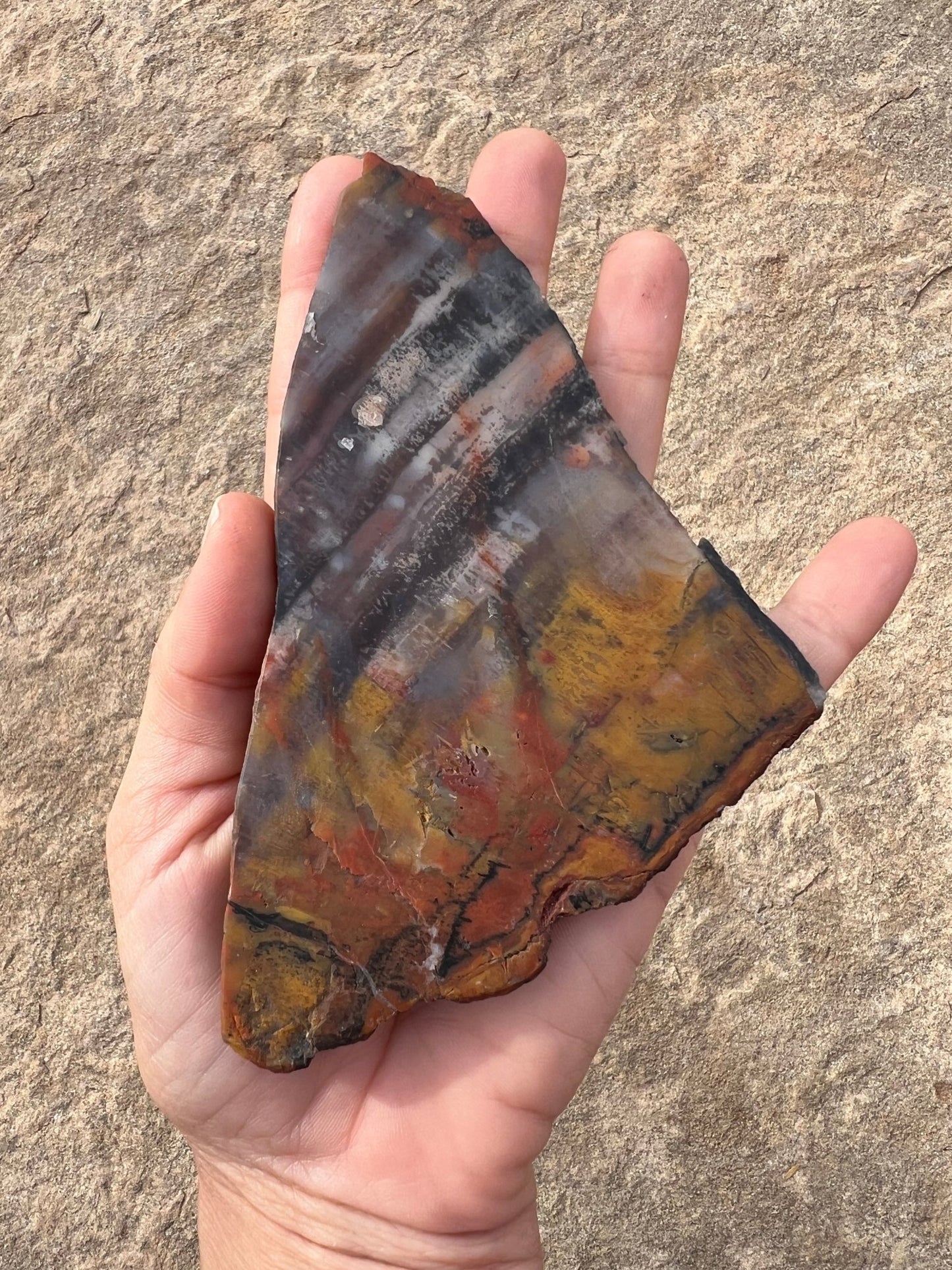 Rainbow Petrified Wood Slab 120g - Purple Door Alchemy