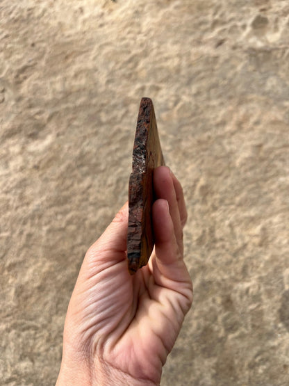 Rainbow Petrified Wood Slab 120g - Purple Door Alchemy