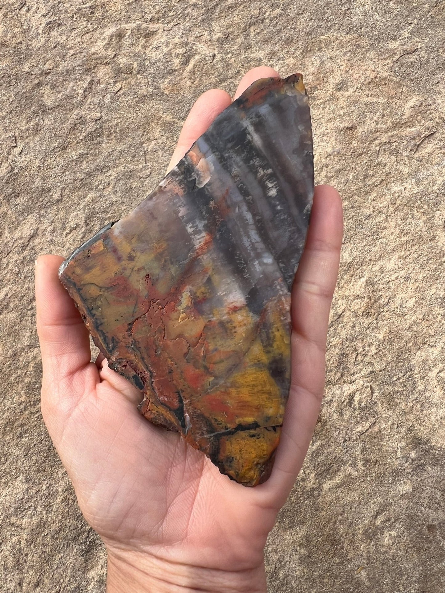 Rainbow Petrified Wood Slab 120g - Purple Door Alchemy