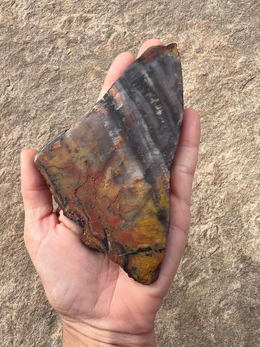 Rainbow Petrified Wood Slab 120g - Purple Door Alchemy