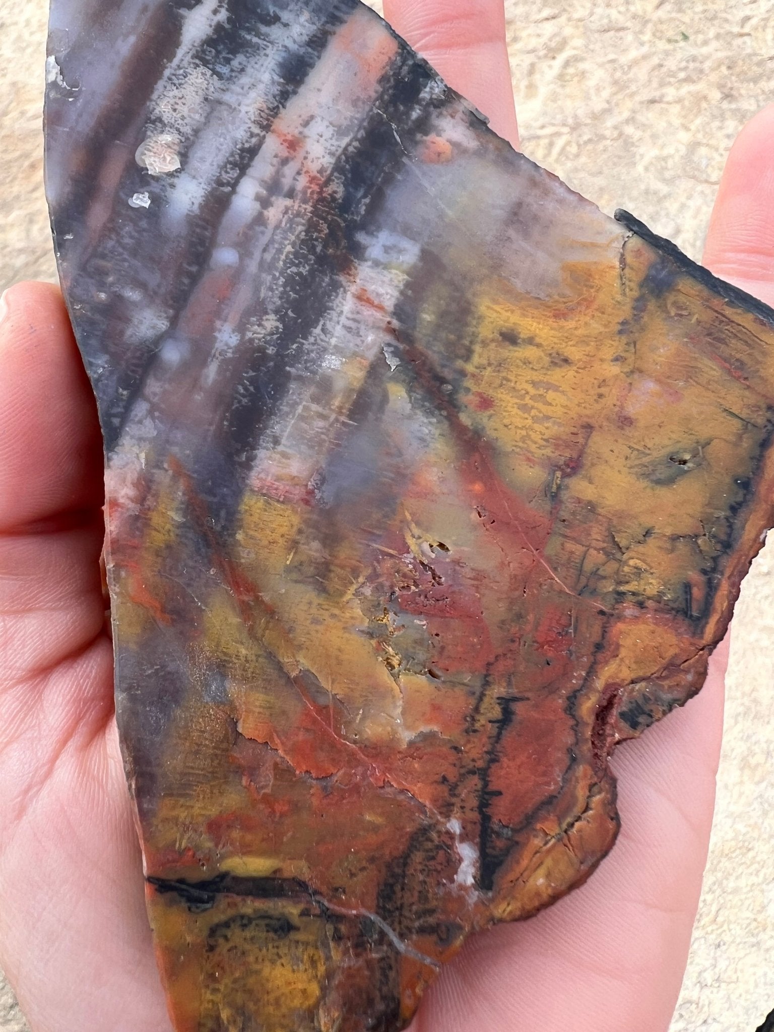 Rainbow Petrified Wood Slab 120g - Purple Door Alchemy