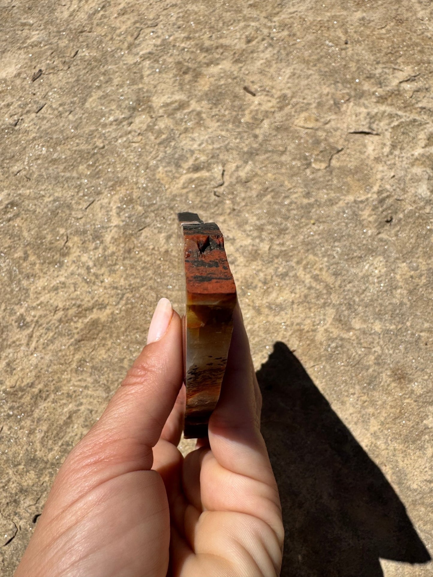 Rainbow Petrified Wood Slab 141g - Purple Door Alchemy