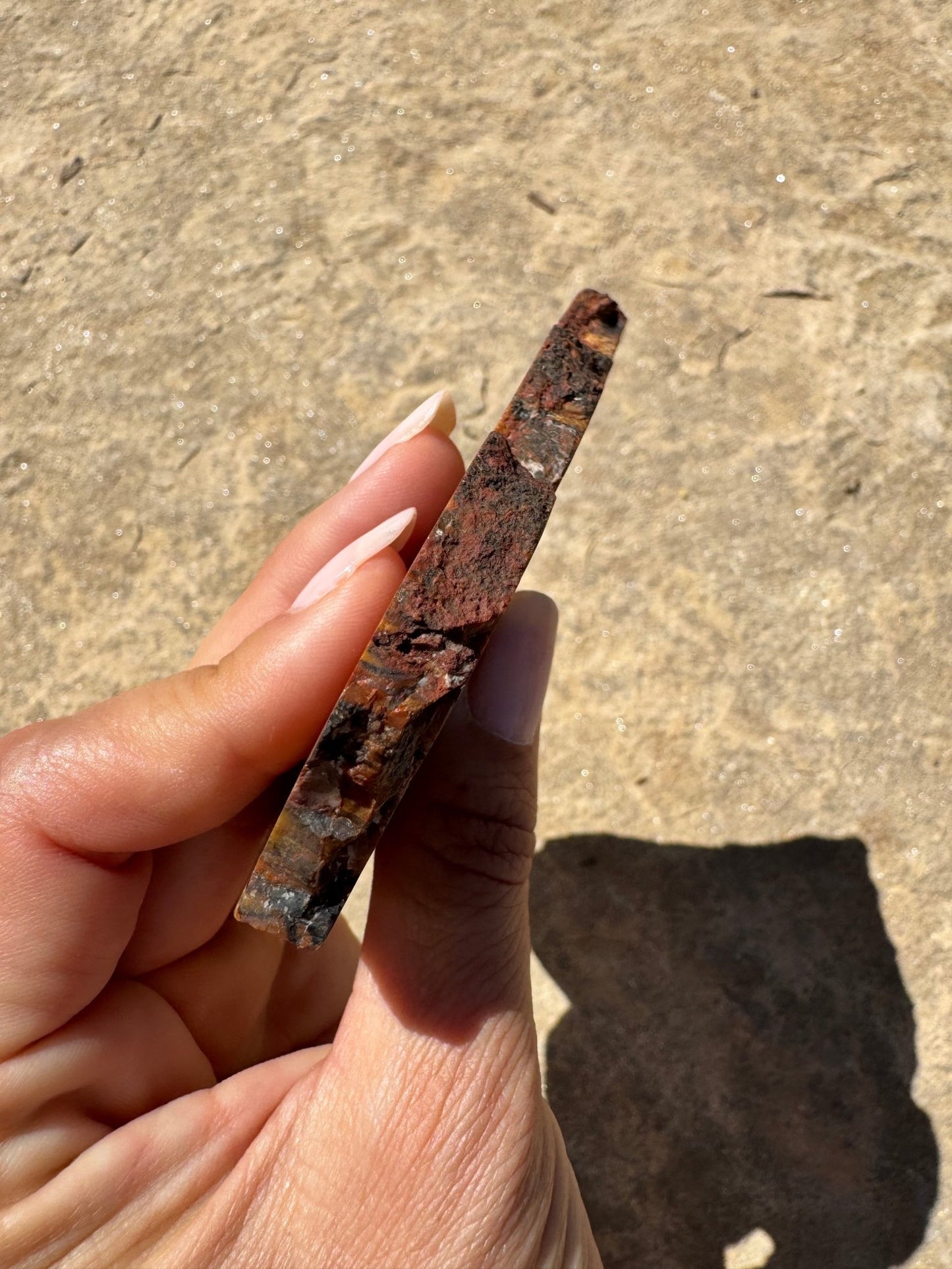 Rainbow Petrified Wood Slab 141g - Purple Door Alchemy