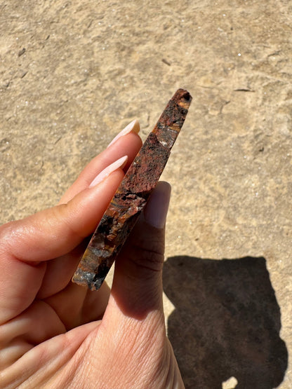 Rainbow Petrified Wood Slab 141g - Purple Door Alchemy