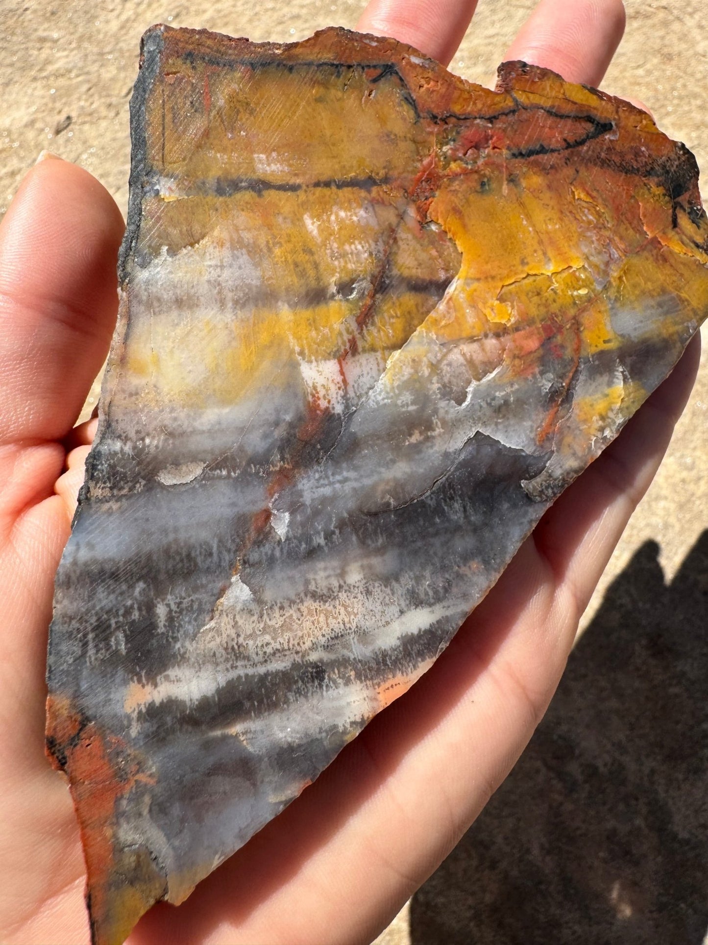 Rainbow Petrified Wood Slab 141g - Purple Door Alchemy