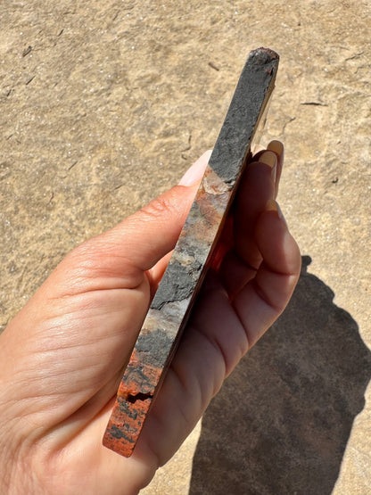 Rainbow Petrified Wood Slab 141g - Purple Door Alchemy