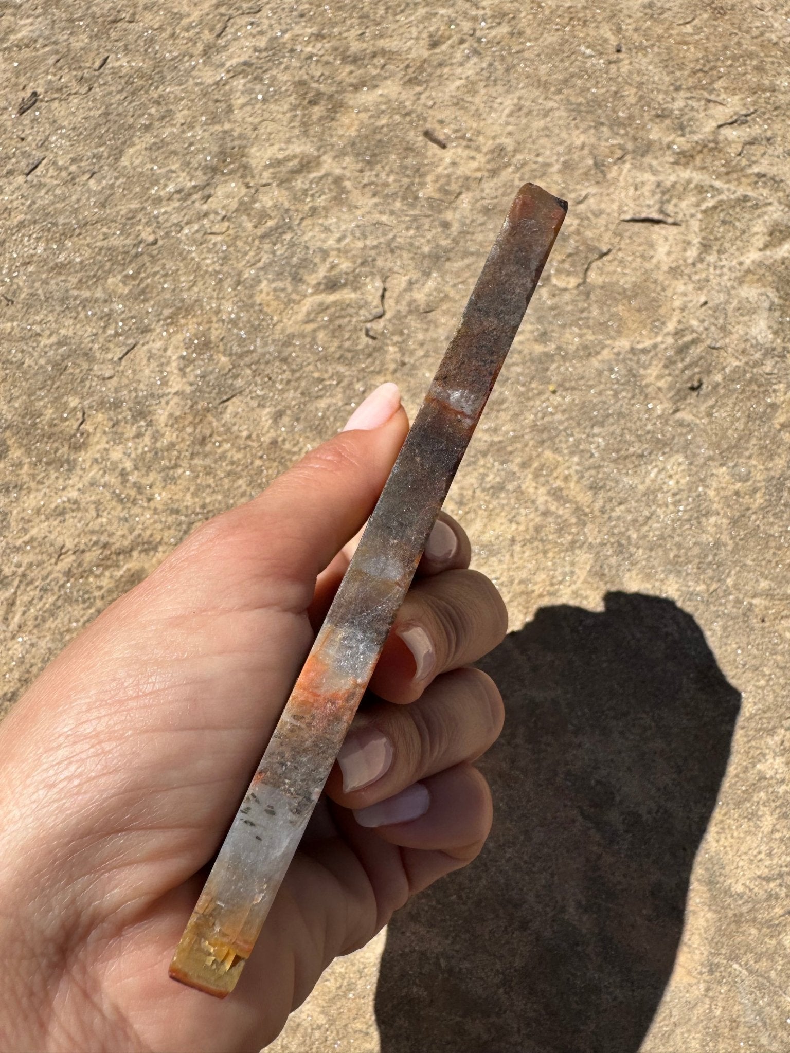 Rainbow Petrified Wood Slab 141g - Purple Door Alchemy