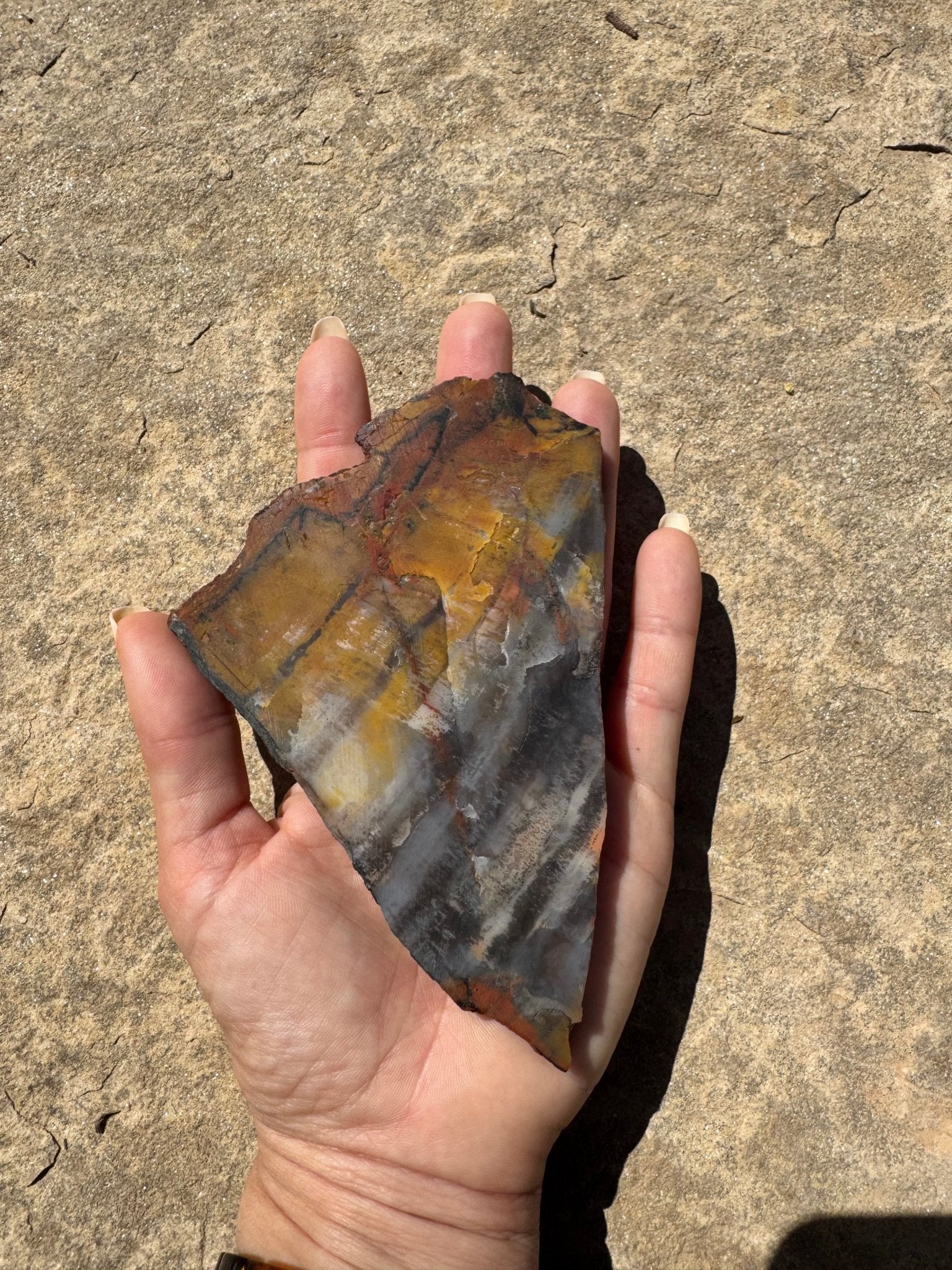 Rainbow Petrified Wood Slab 141g - Purple Door Alchemy
