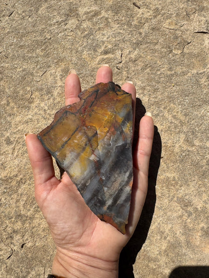 Rainbow Petrified Wood Slab 141g - Purple Door Alchemy