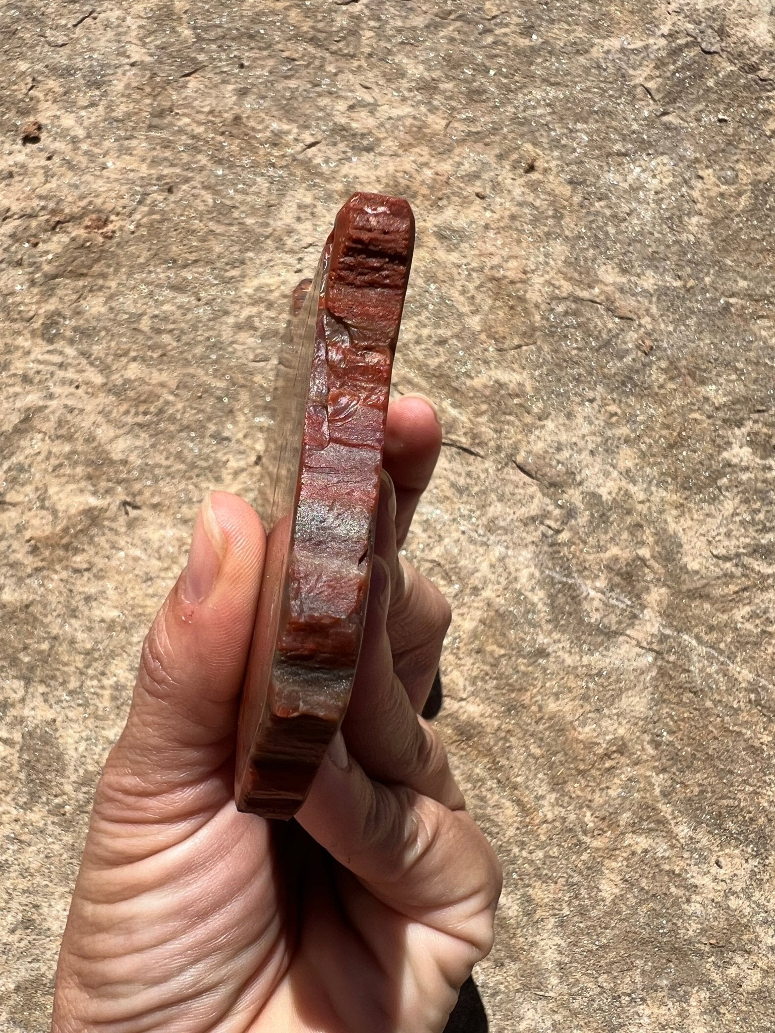 Rainbow Petrified Wood Slab 162g - Purple Door Alchemy