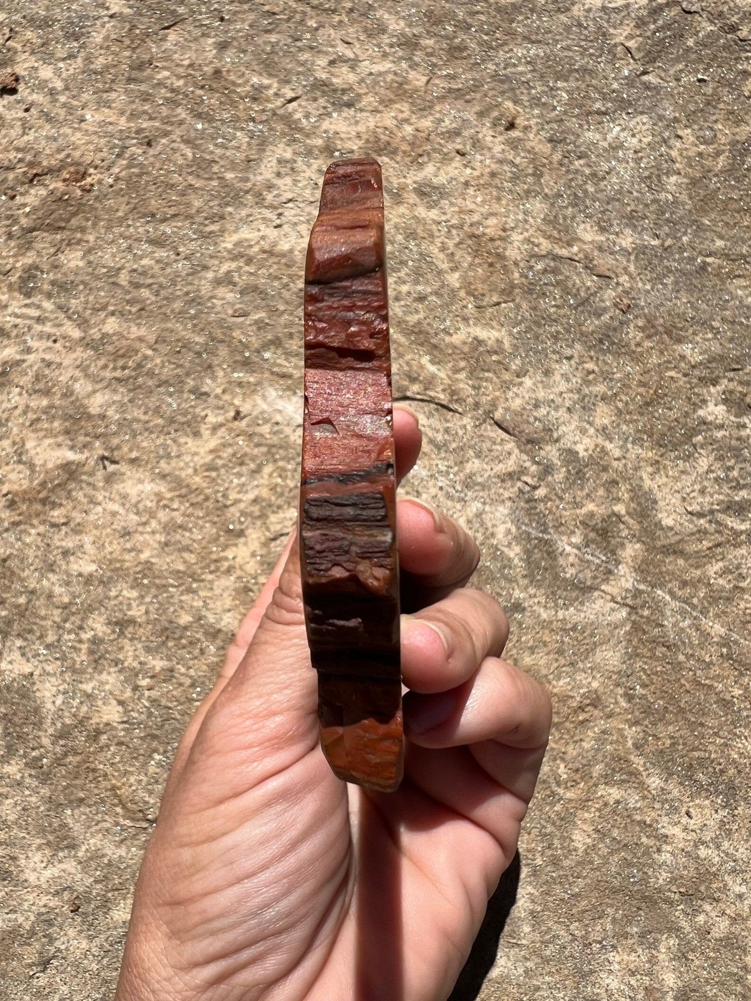 Rainbow Petrified Wood Slab 162g - Purple Door Alchemy