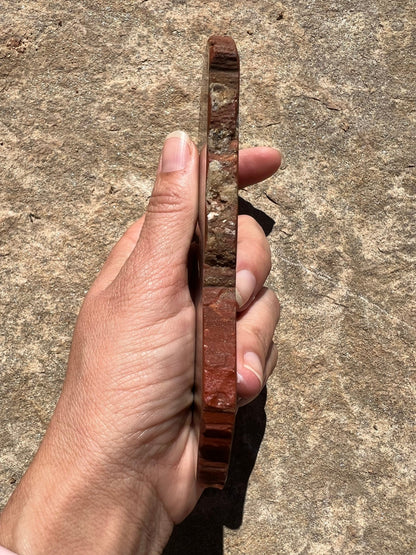 Rainbow Petrified Wood Slab 162g - Purple Door Alchemy