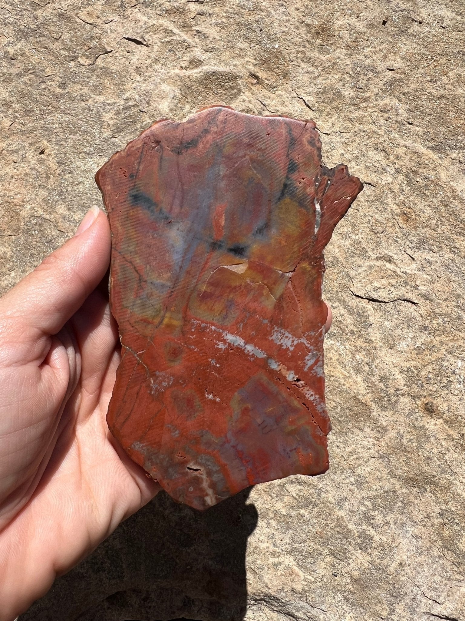 Rainbow Petrified Wood Slab 170g - Purple Door Alchemy