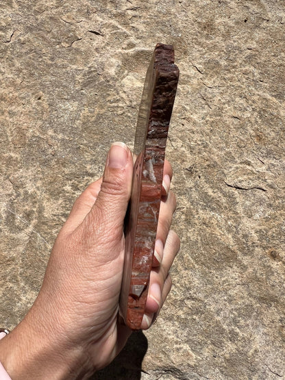Rainbow Petrified Wood Slab 170g - Purple Door Alchemy