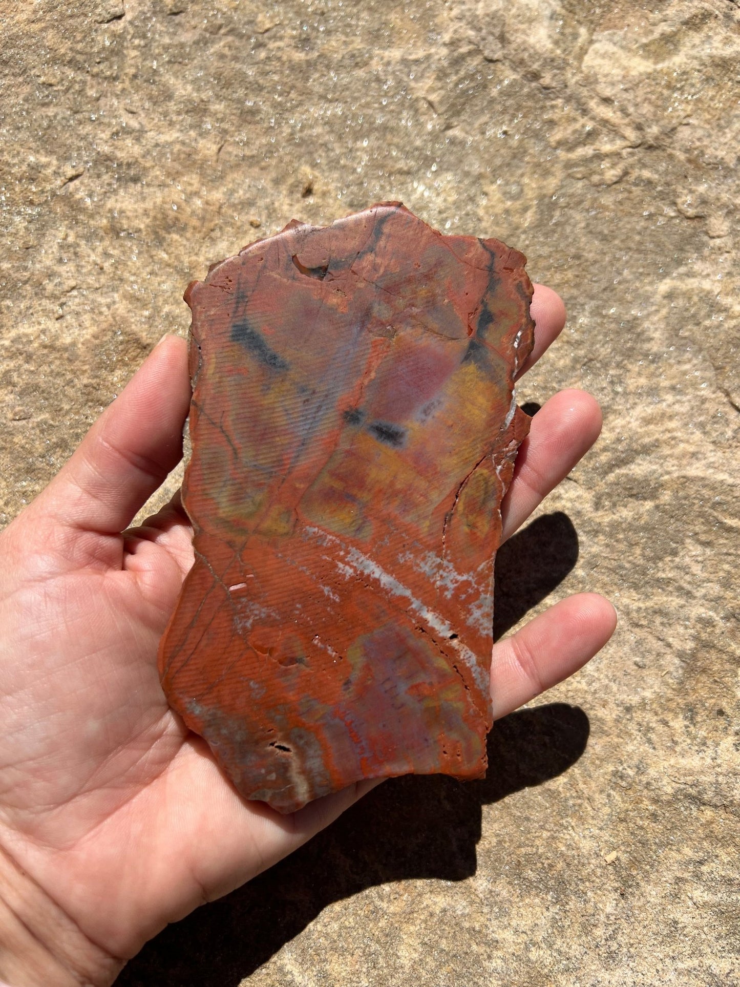 Rainbow Petrified Wood Slab 184g - Purple Door Alchemy