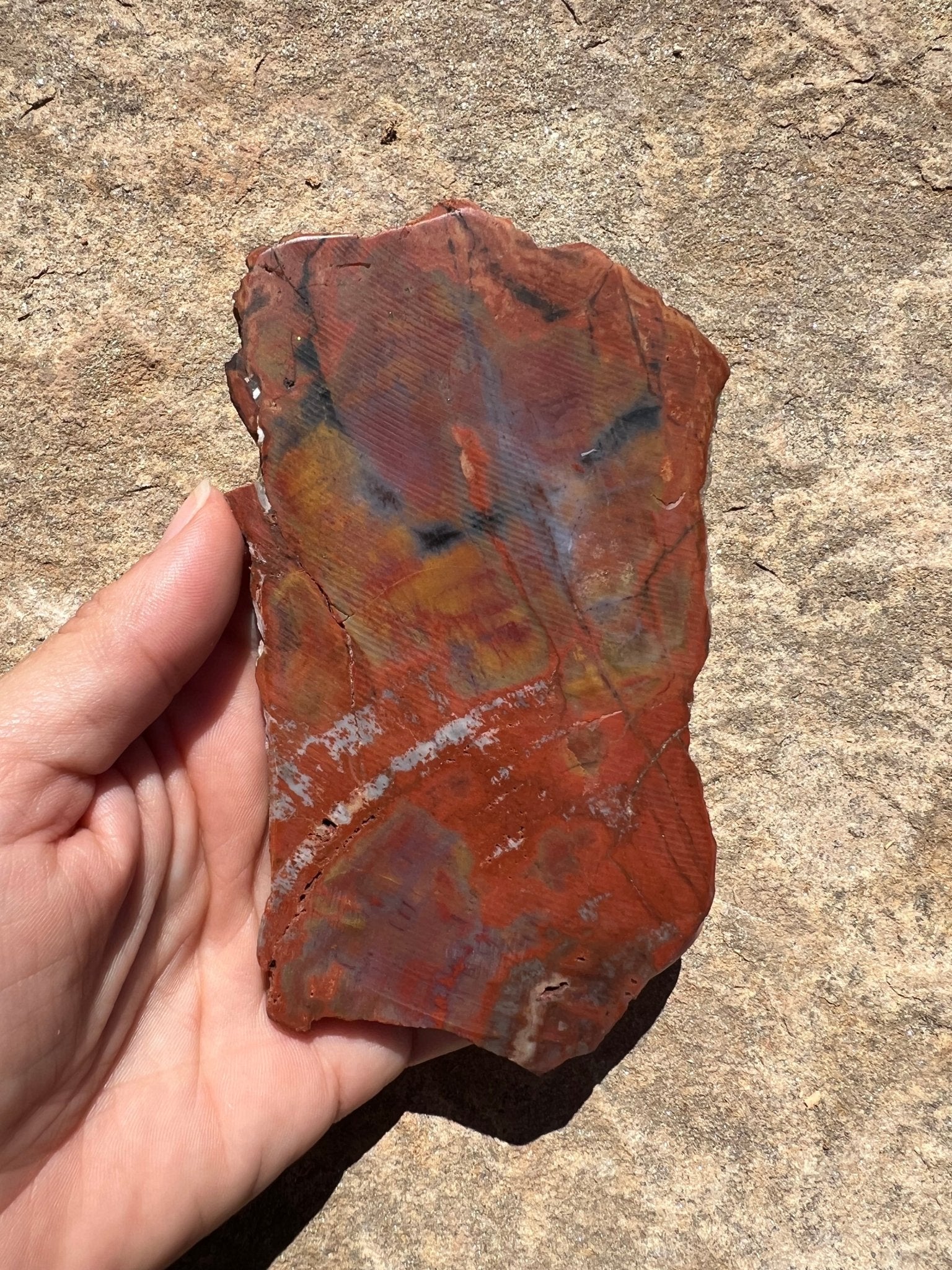 Rainbow Petrified Wood Slab 184g - Purple Door Alchemy