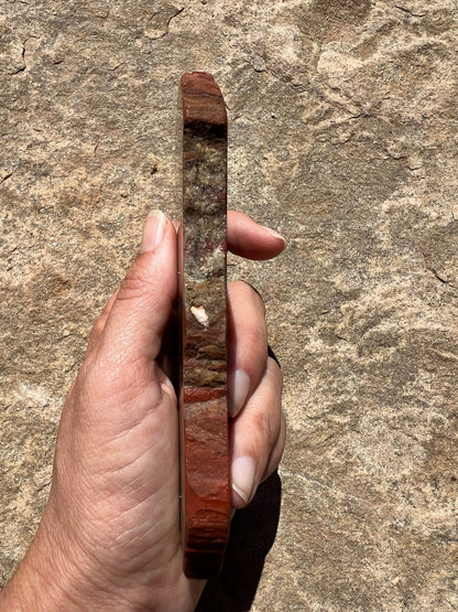 Rainbow Petrified Wood Slab 184g - Purple Door Alchemy