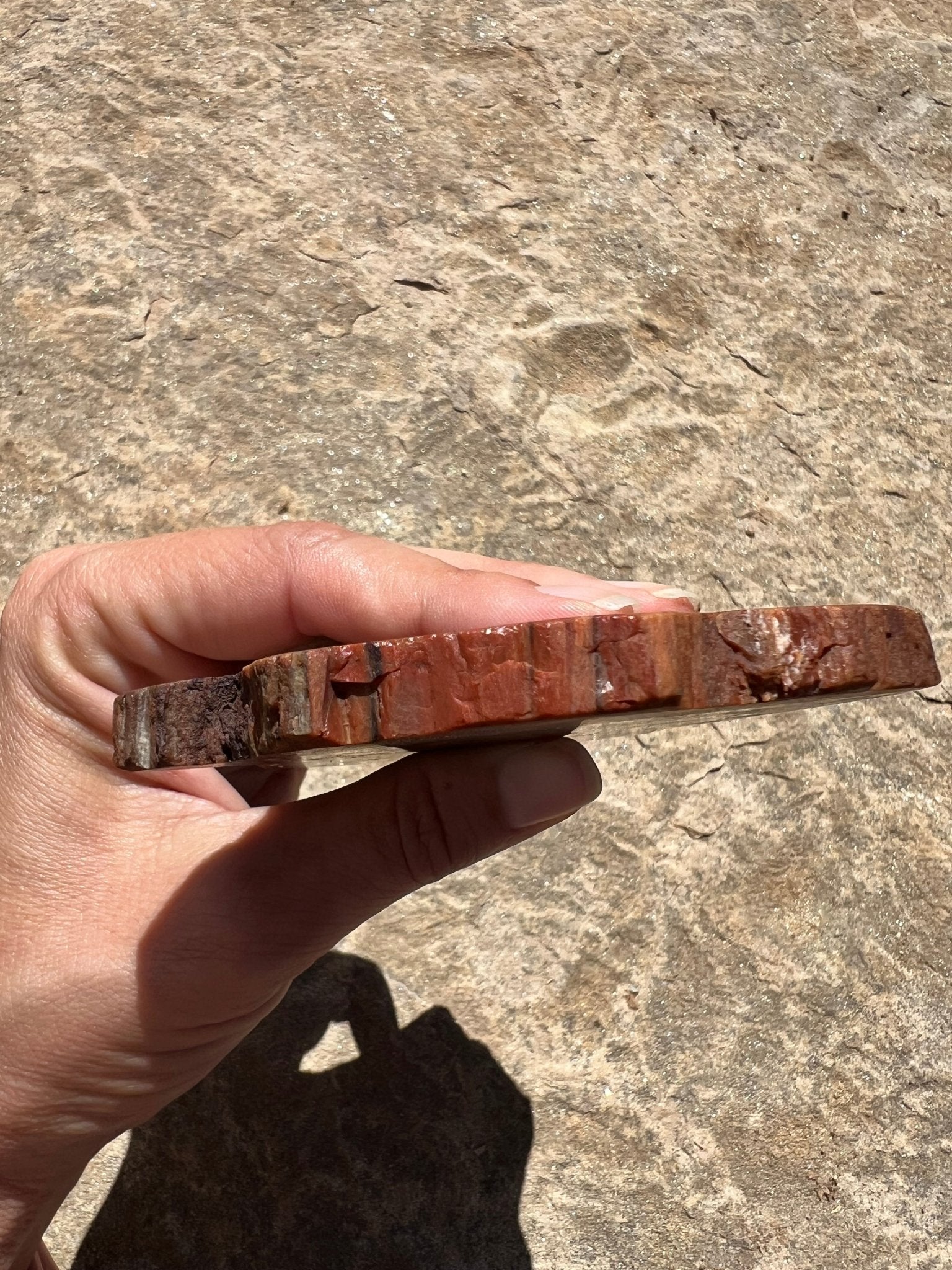 Rainbow Petrified Wood Slab 192g - Purple Door Alchemy