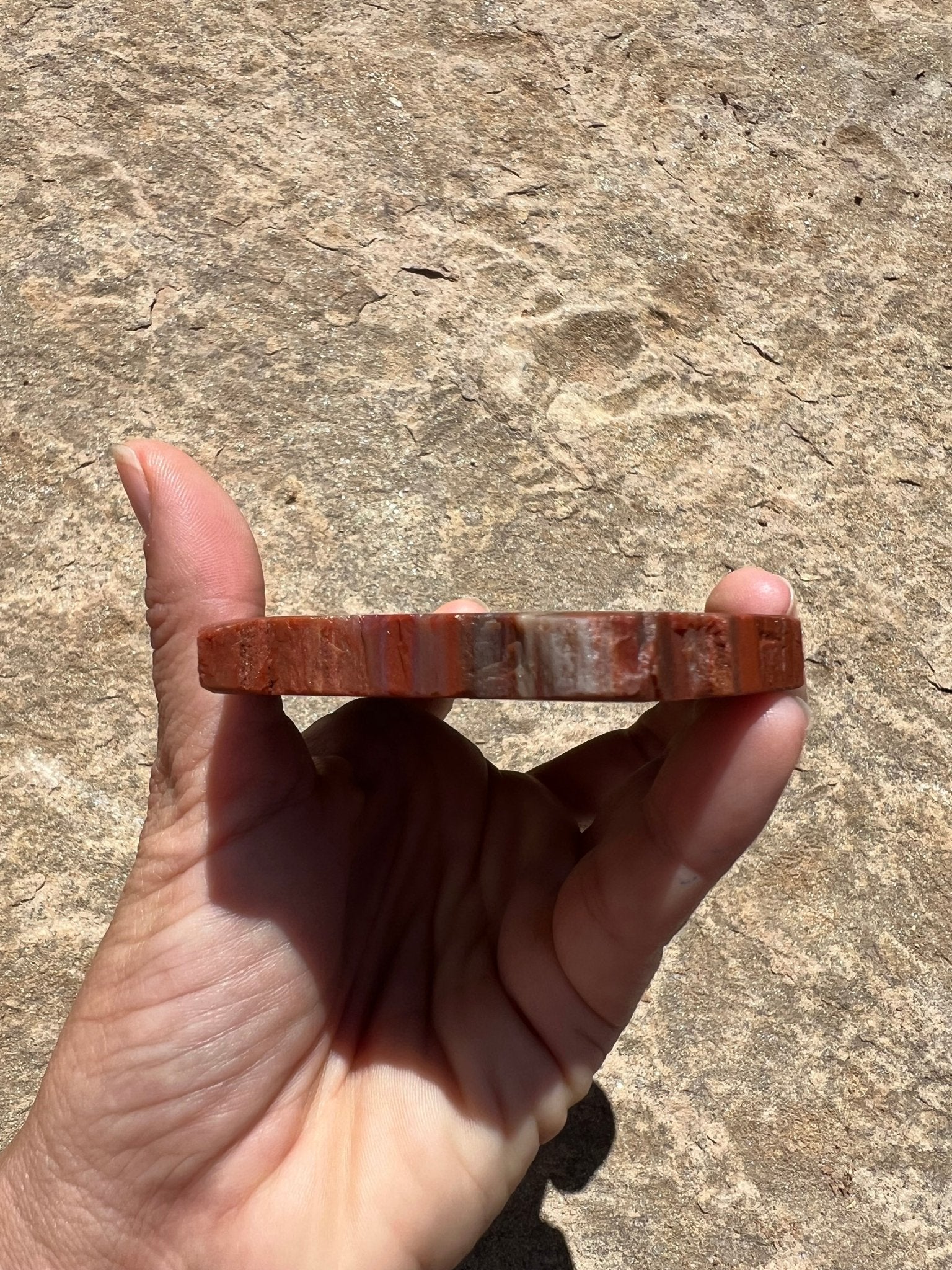 Rainbow Petrified Wood Slab 192g - Purple Door Alchemy