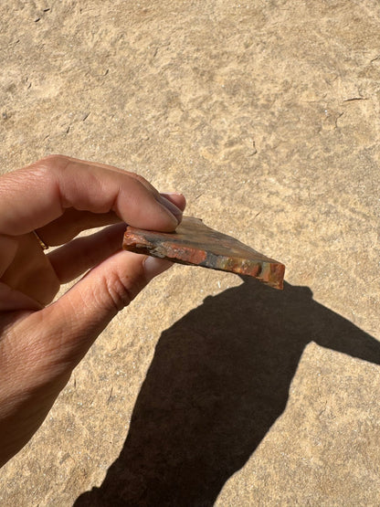 Rainbow Petrified Wood Slab 66g - Purple Door Alchemy