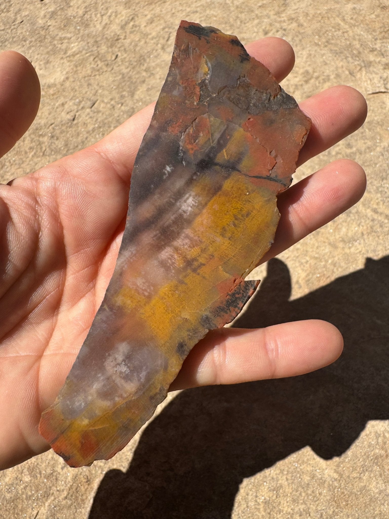 Rainbow Petrified Wood Slab 66g - Purple Door Alchemy