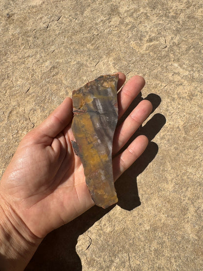 Rainbow Petrified Wood Slab 66g - Purple Door Alchemy