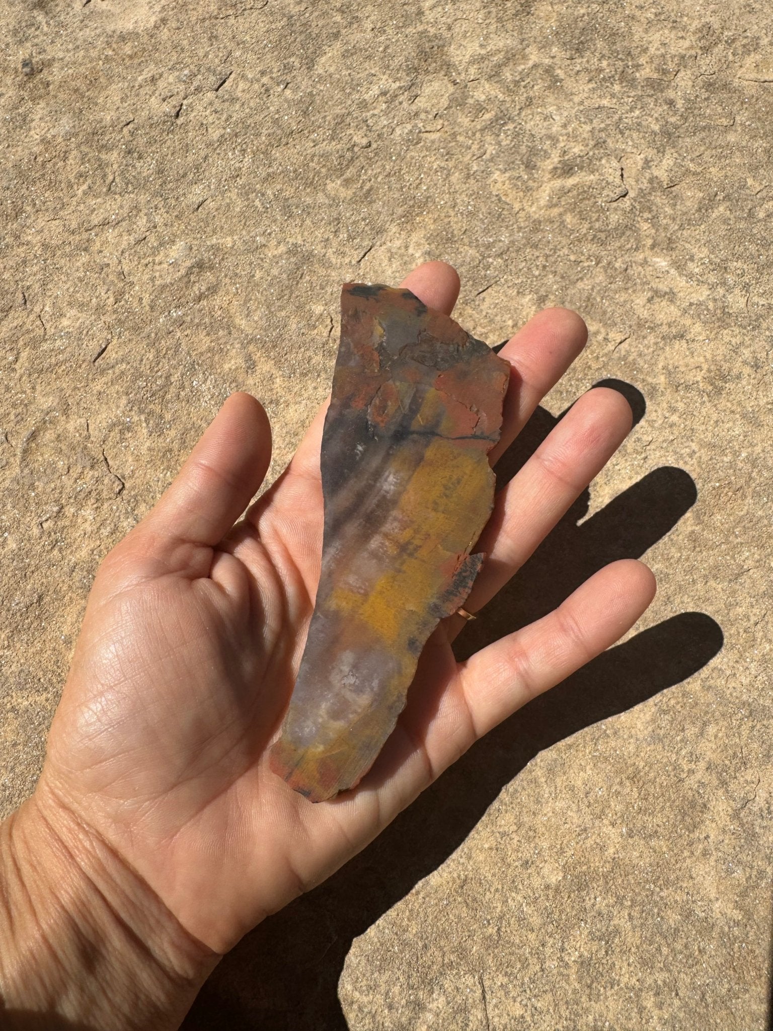 Rainbow Petrified Wood Slab 66g - Purple Door Alchemy