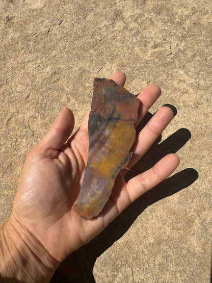 Rainbow Petrified Wood Slab 66g - Purple Door Alchemy