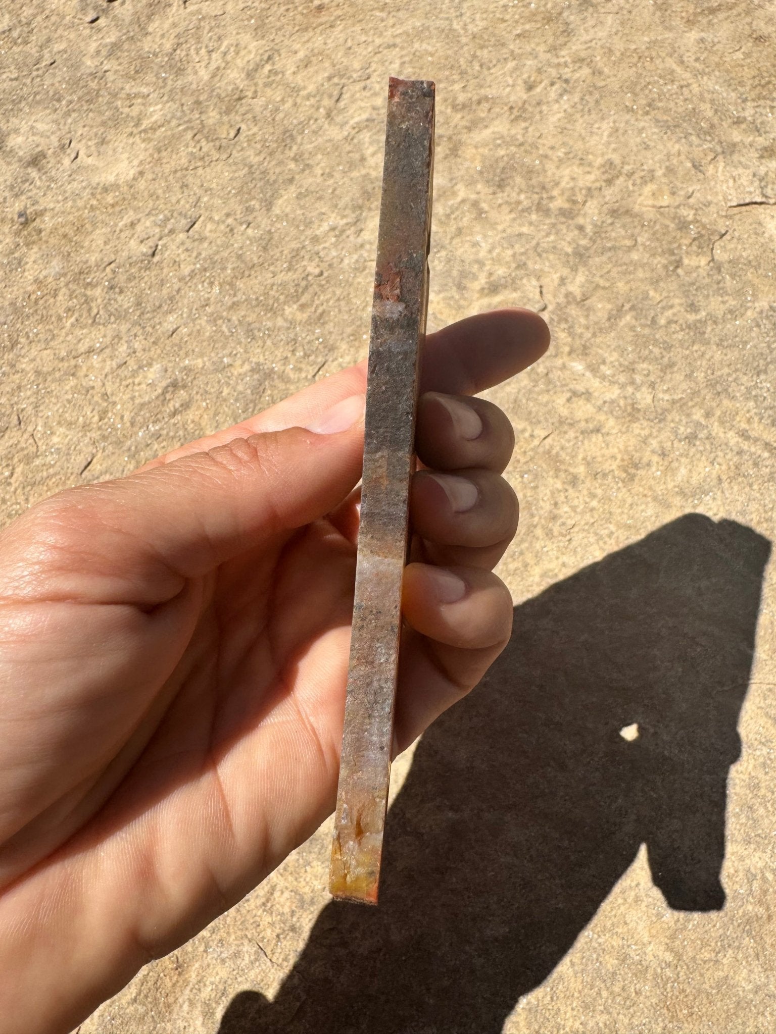Rainbow Petrified Wood Slab 66g - Purple Door Alchemy