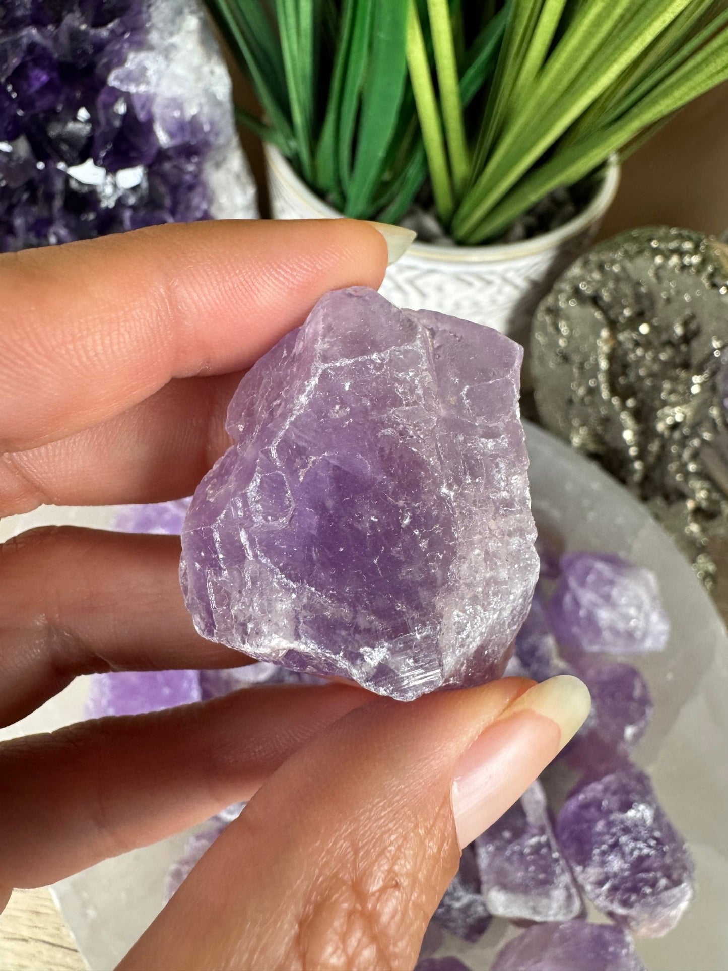 Raw Amethyst - Purple Door Alchemy