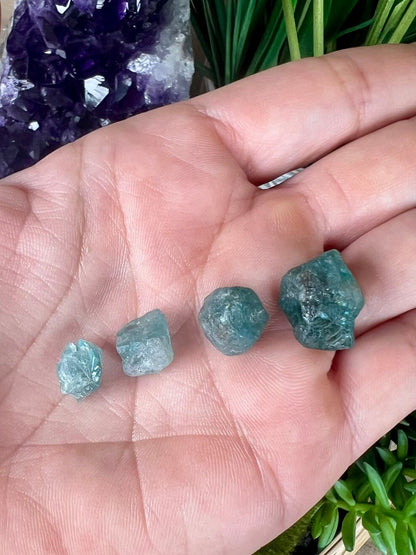 Raw Blue Apatite - Gemmy - Purple Door Alchemy