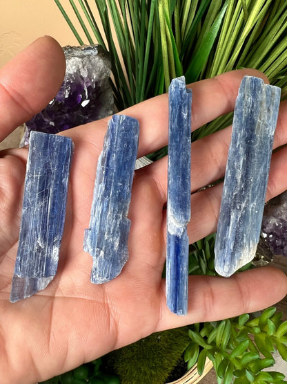 Raw Blue Kyanite Blade - Purple Door Alchemy