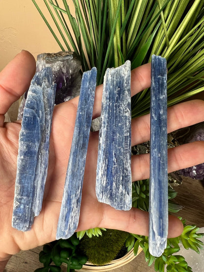 Raw Blue Kyanite Blade - Purple Door Alchemy