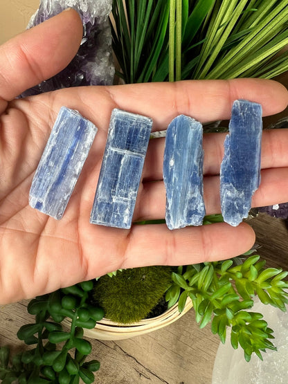 Raw Blue Kyanite Blade - Purple Door Alchemy