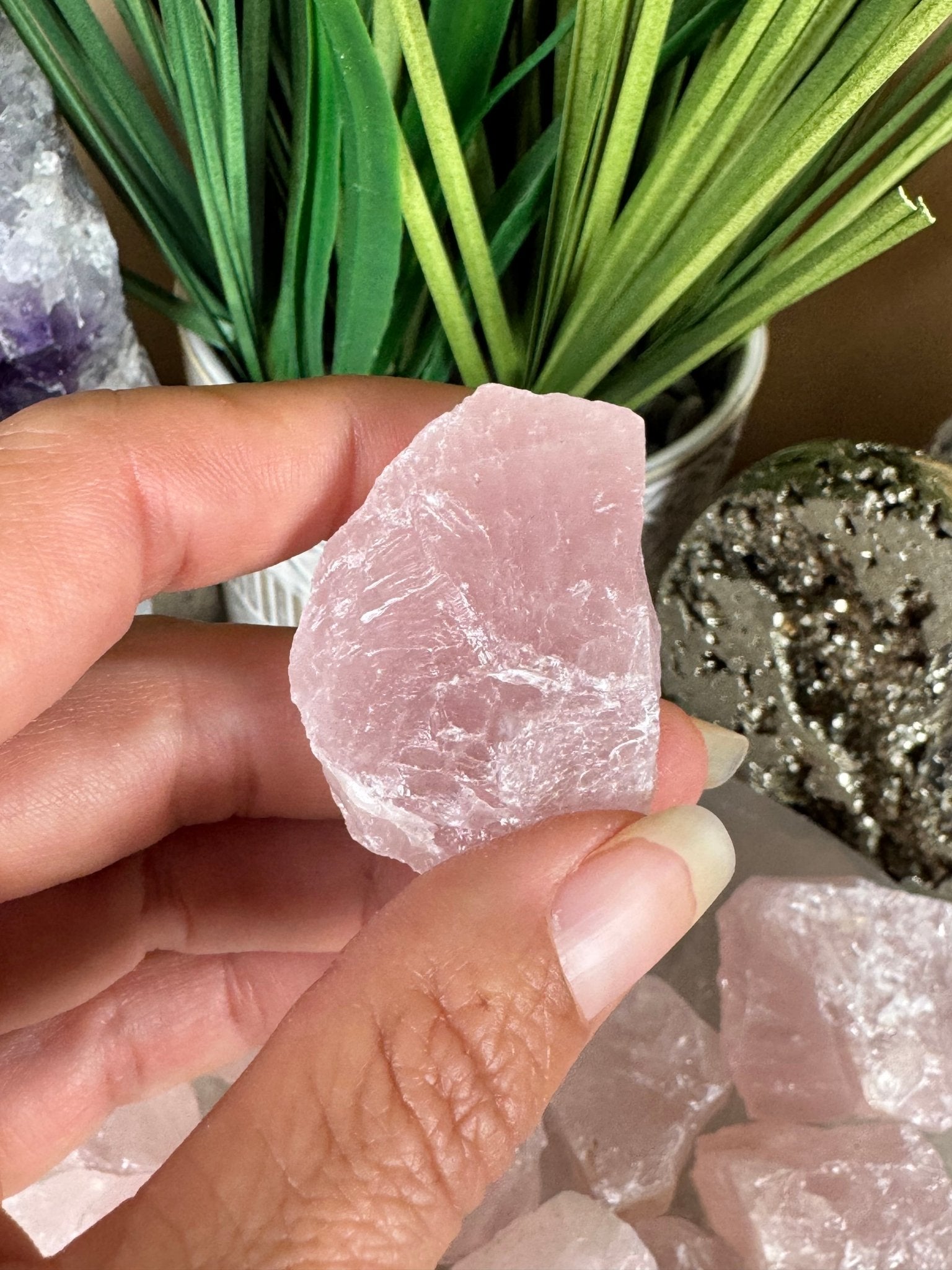 Raw Rose Quartz - Purple Door Alchemy