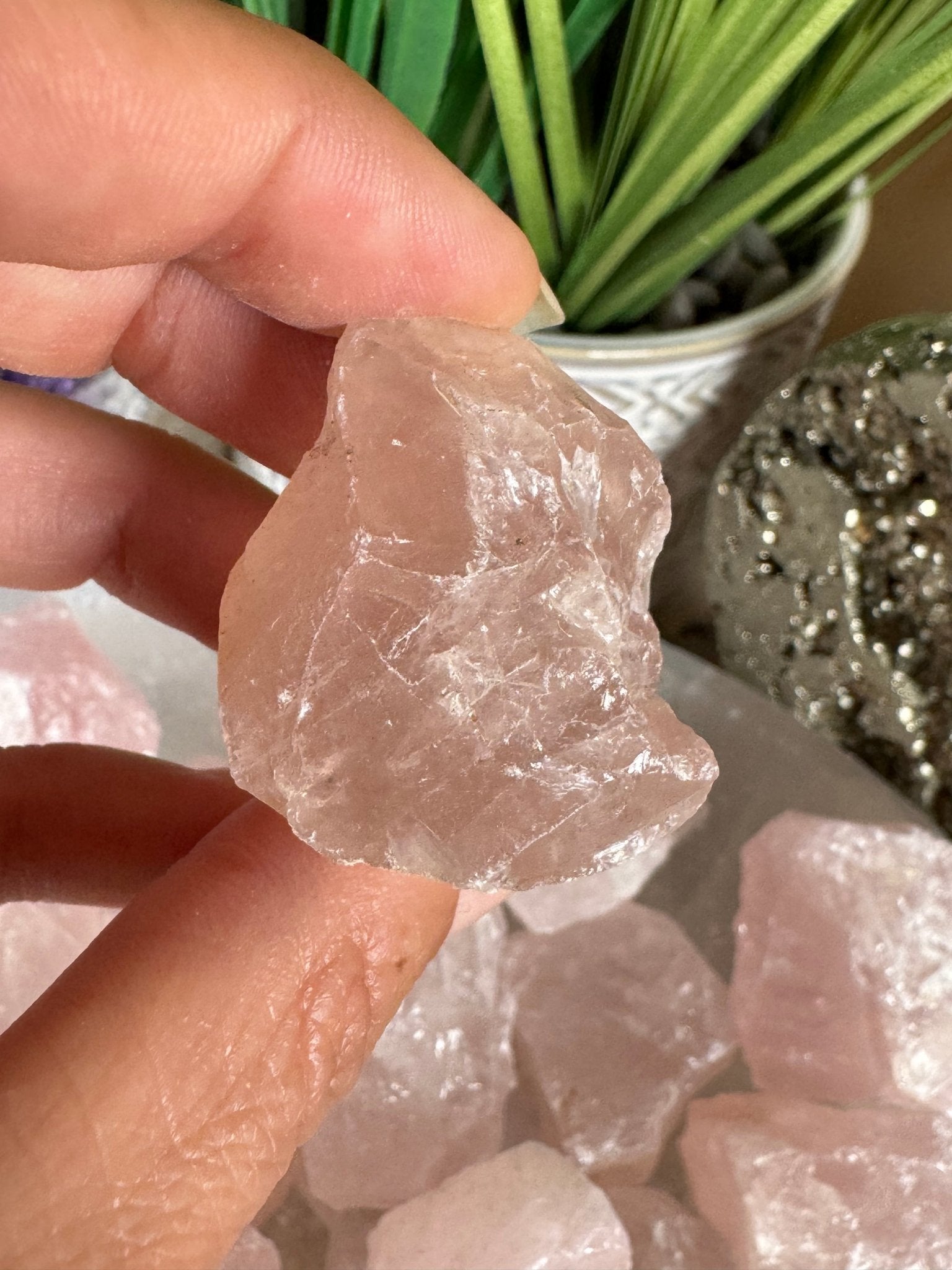Raw Rose Quartz - Purple Door Alchemy
