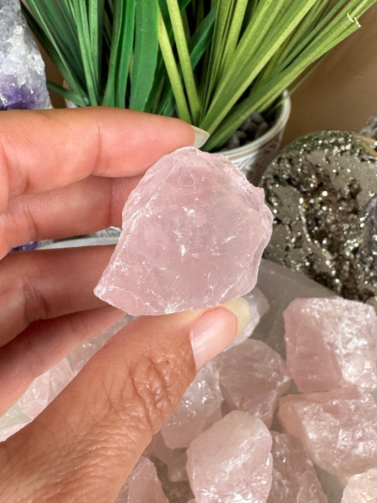 Raw Rose Quartz - Purple Door Alchemy