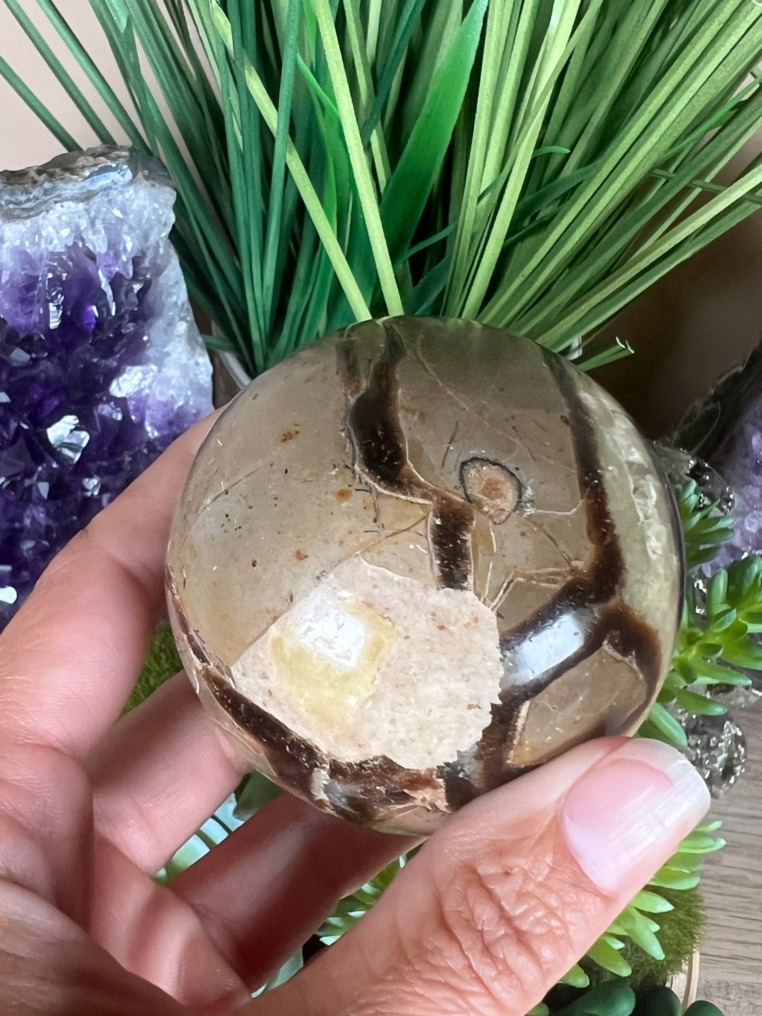 Septarian Sphere 63mm (2.48") - Purple Door Alchemy