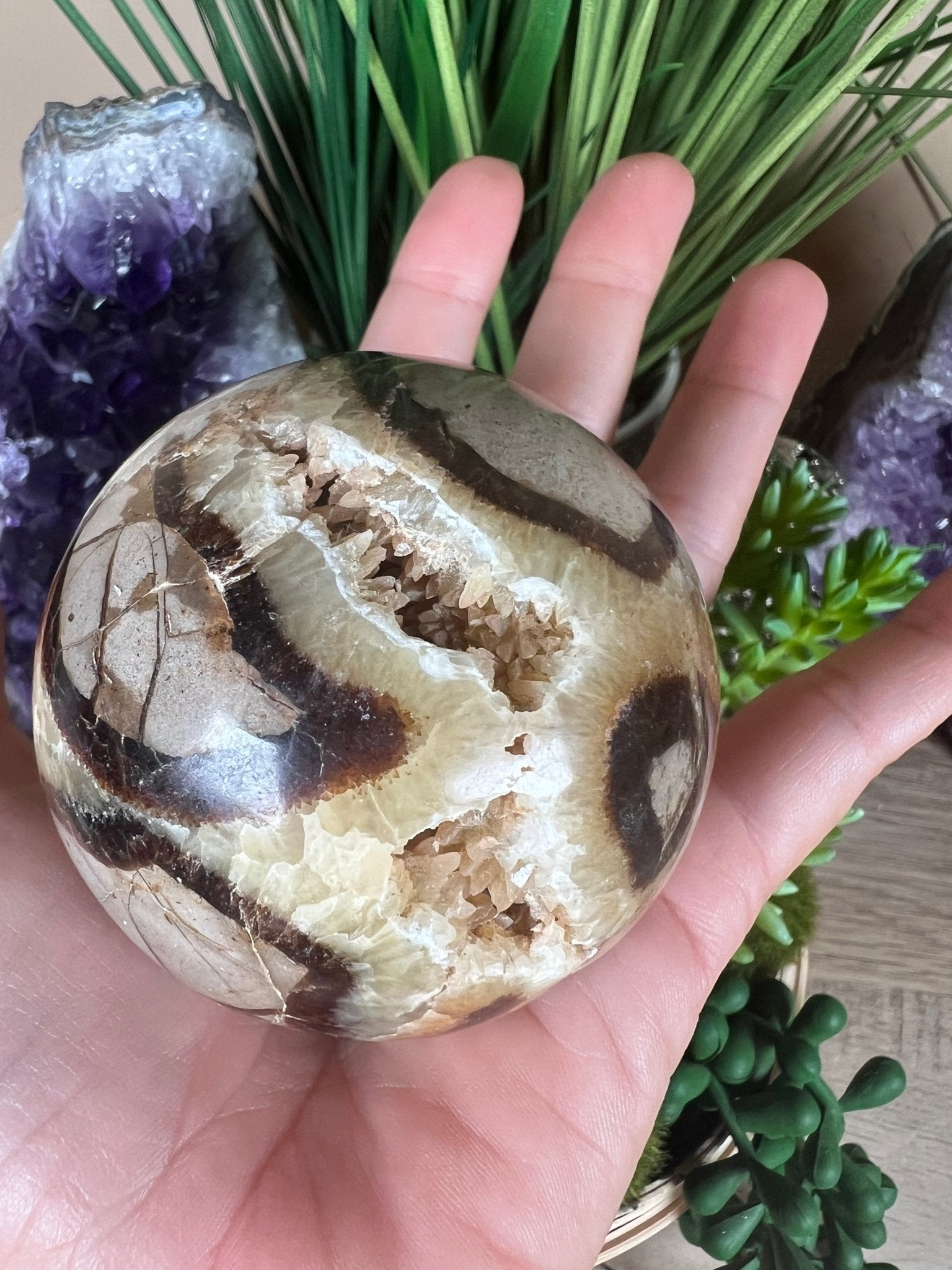 Septarian Sphere 66mm (2.6") - Purple Door Alchemy